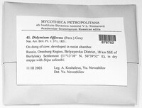 Image Associated With the Occurence